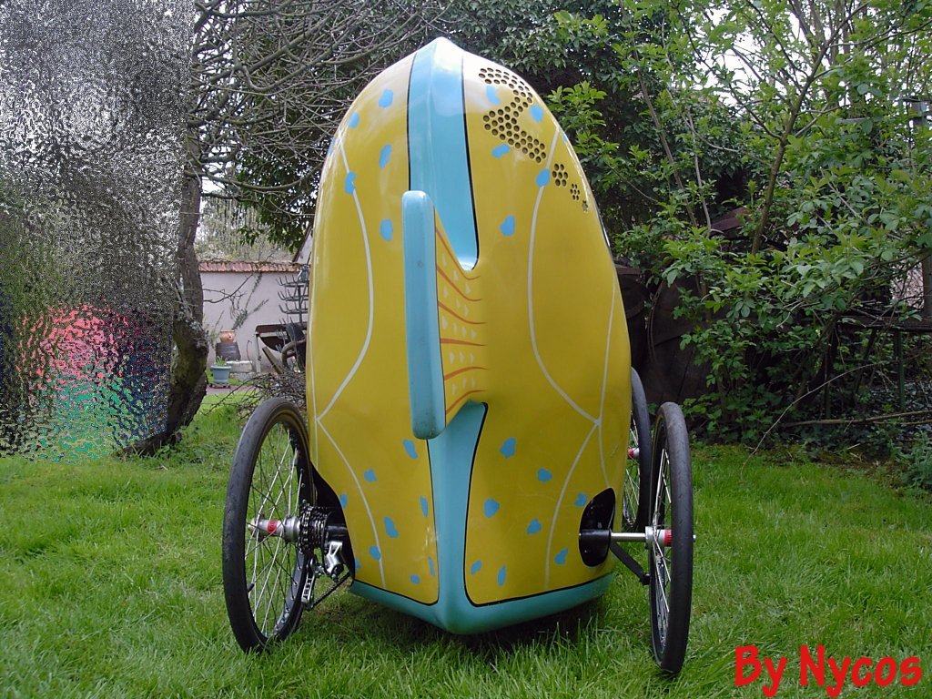 Poisson 039.jpg